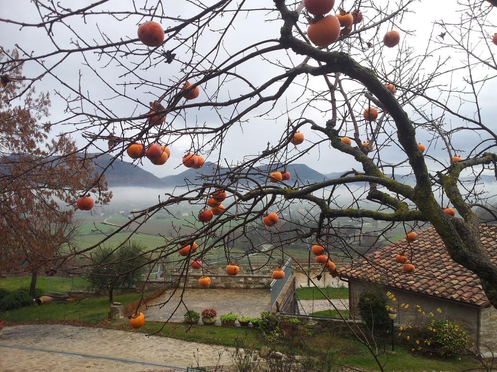 Fonte Chiara Villa Gubbio Luaran gambar