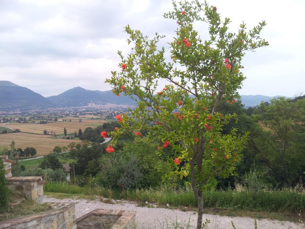 Fonte Chiara Villa Gubbio Bilik gambar